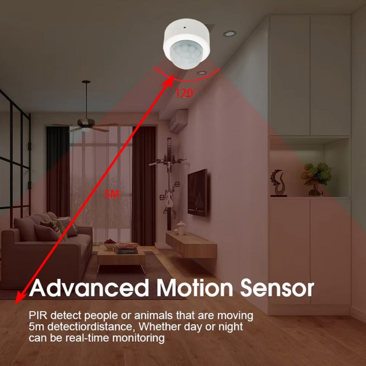 Zigbee PIR Motion Sensor Human - Home Security Devices ulasan dan harga