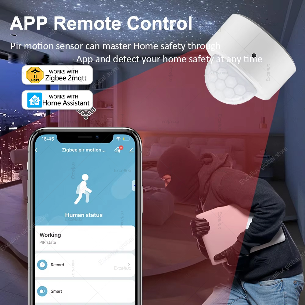 ZigBee PIR Motion Sensor Mini  - Home Security Home Assistant ulasan dan harga