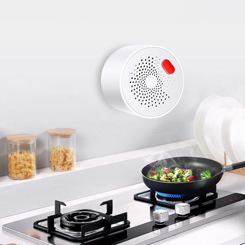 Tuya Smart Home Wifi Natural G - Home Security Devices ulasan dan harga