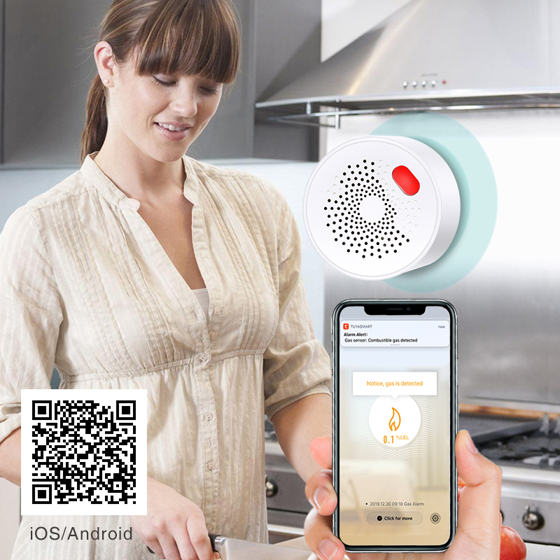Tuya Smart Home Wifi Natural G - Home Security Devices ulasan dan harga